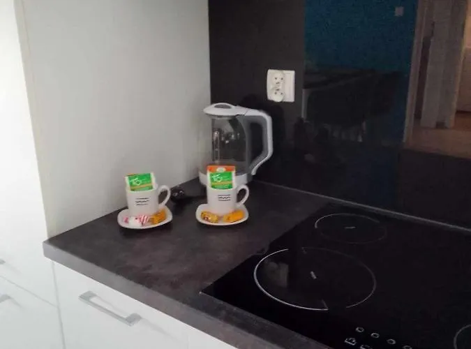 Rest In Paradise-basen Wewnetrzny,sauna,jacuzzi,silownia I Kulkoland W Cenie Sun Rise Festival Ul Poleska Apartament