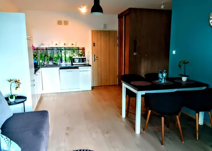 Rest In Paradise-basen Wewnetrzny,sauna,jacuzzi,silownia I Kulkoland W Cenie Sun Rise Festival Ul Poleska